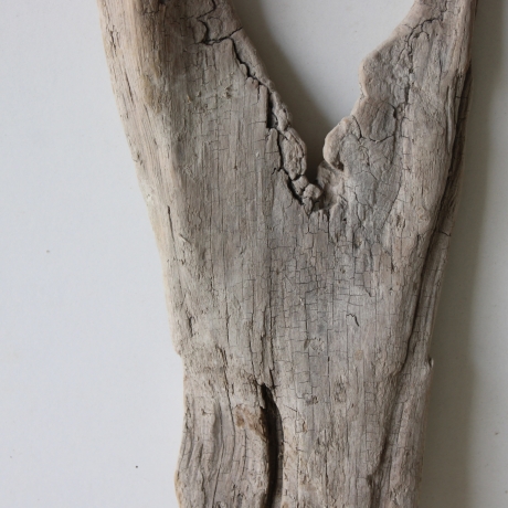 Treibholz Schwemmholz Driftwood 1 Skulptur  40 cm 
