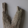 Treibholz Schwemmholz Driftwood 1 Skulptur  40 cm 