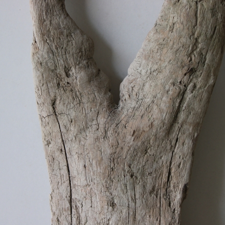 Treibholz Schwemmholz Driftwood 1 Skulptur  40 cm 