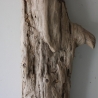 Treibholz Schwemmholz Driftwood 1 MEGA Stamm  Terrarium 155 cm