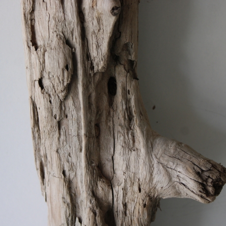 Treibholz Schwemmholz Driftwood 1 MEGA Stamm  Terrarium 155 cm