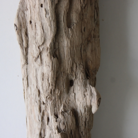 Treibholz Schwemmholz Driftwood 1 MEGA Stamm  Terrarium 155 cm