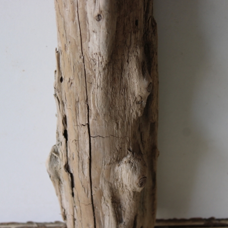 Treibholz Schwemmholz Driftwood 1 MEGA Stamm  Terrarium 155 cm