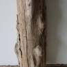 Treibholz Schwemmholz Driftwood 1 MEGA Stamm  Terrarium 155 cm