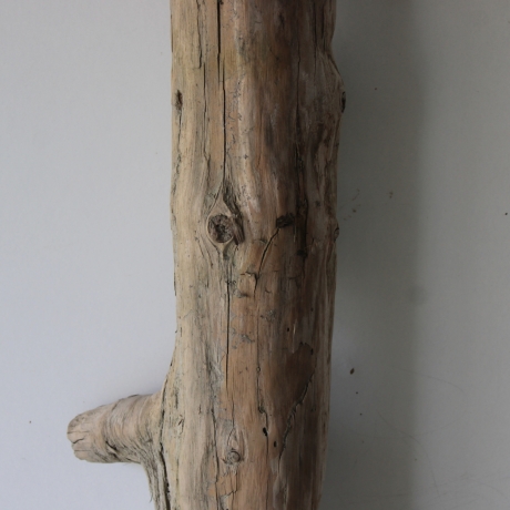 Treibholz Schwemmholz Driftwood 1 MEGA Stamm  Terrarium 155 cm