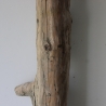 Treibholz Schwemmholz Driftwood 1 MEGA Stamm  Terrarium 155 cm