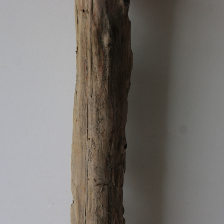 Treibholz Schwemmholz Driftwood 1 MEGA Stamm  Terrarium 155 cm
