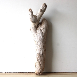 Treibholz Schwemmholz Driftwood 1 knorrige Wurzel  55 cm 
