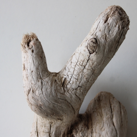 Treibholz Schwemmholz Driftwood 1 knorrige Wurzel  55 cm 