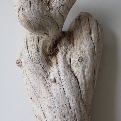 Treibholz Schwemmholz Driftwood 1 knorrige Wurzel  55 cm 