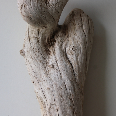 Treibholz Schwemmholz Driftwood 1 knorrige Wurzel  55 cm 