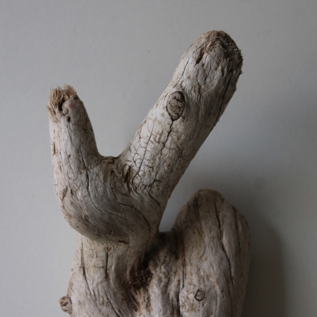 Treibholz Schwemmholz Driftwood 1 knorrige Wurzel  55 cm 
