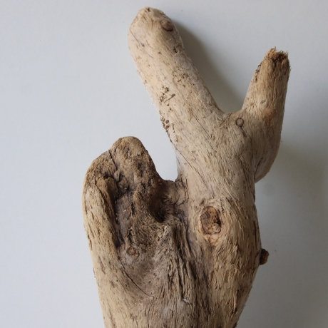 Treibholz Schwemmholz Driftwood 1 knorrige Wurzel  55 cm 