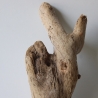 Treibholz Schwemmholz Driftwood 1 knorrige Wurzel  55 cm 