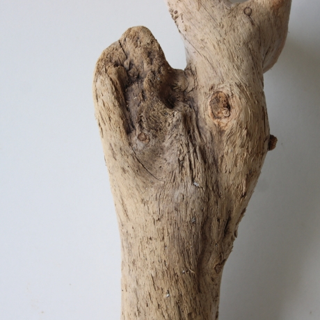 Treibholz Schwemmholz Driftwood 1 knorrige Wurzel  55 cm 