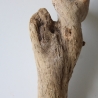 Treibholz Schwemmholz Driftwood 1 knorrige Wurzel  55 cm 