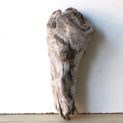 Treibholz Schwemmholz Driftwood 1 knorrige  Skulptur  35 cm 