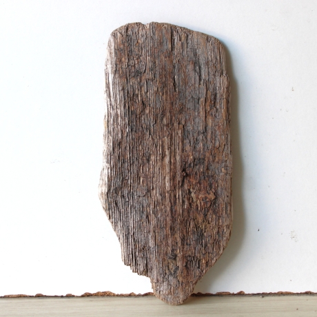 Treibholz Schwemmholz Driftwood 1  Brett 25 cm  