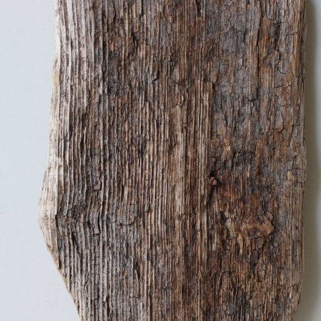 Treibholz Schwemmholz Driftwood 1  Brett 25 cm  