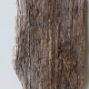Treibholz Schwemmholz Driftwood 1  Brett 25 cm  