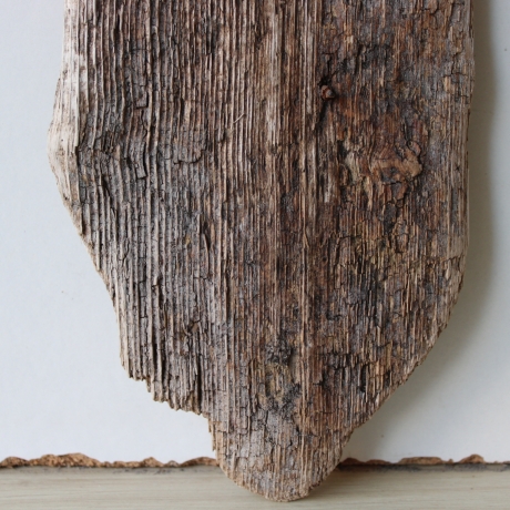 Treibholz Schwemmholz Driftwood 1  Brett 25 cm  