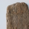 Treibholz Schwemmholz Driftwood 1  Brett 25 cm  