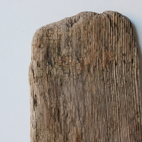 Treibholz Schwemmholz Driftwood 1  Brett 25 cm  