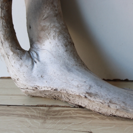 Treibholz Schwemmholz Driftwood 1  Wurzel  Terrarium 40 cm 