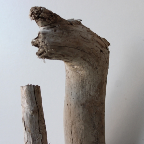 Treibholz Schwemmholz Driftwood 1  Wurzel  Terrarium 40 cm 