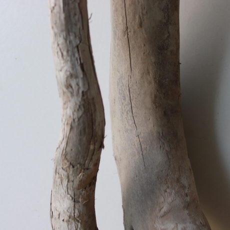 Treibholz Schwemmholz Driftwood 1  Wurzel  Terrarium 40 cm 