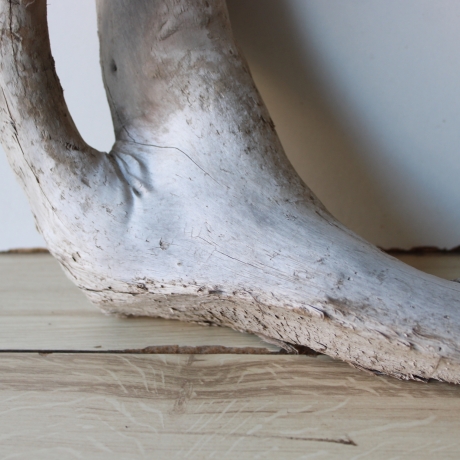 Treibholz Schwemmholz Driftwood 1  Wurzel  Terrarium 40 cm 