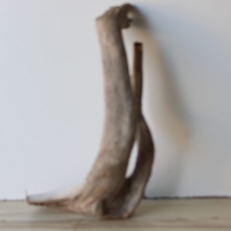 Treibholz Schwemmholz Driftwood 1  Wurzel  Terrarium 40 cm 