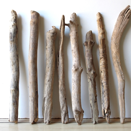 Treibholz Schwemmholz Driftwood 8  Äste  41  - 52 cm  