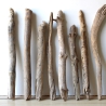 Treibholz Schwemmholz Driftwood 8  Äste  41  - 52 cm  