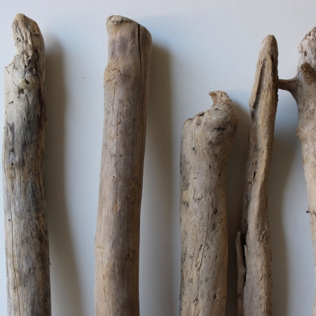 Treibholz Schwemmholz Driftwood 8  Äste  41  - 52 cm  