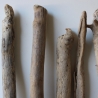 Treibholz Schwemmholz Driftwood 8  Äste  41  - 52 cm  
