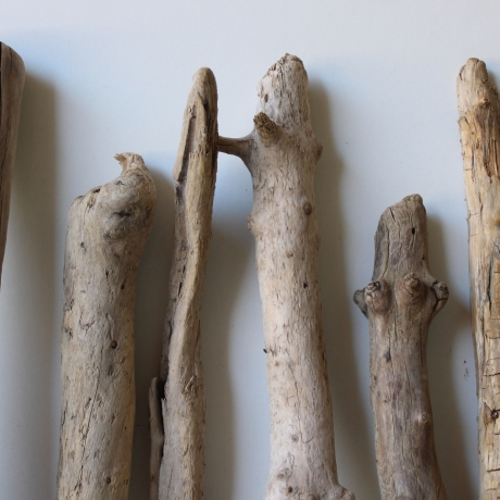 Treibholz Schwemmholz Driftwood 8  Äste  41  - 52 cm  