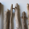 Treibholz Schwemmholz Driftwood 8  Äste  41  - 52 cm  