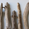 Treibholz Schwemmholz Driftwood 8  Äste  41  - 52 cm  