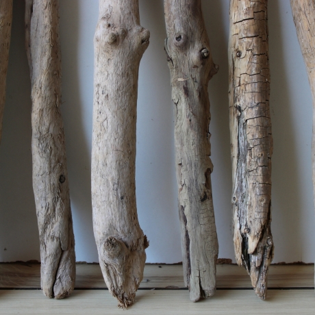 Treibholz Schwemmholz Driftwood 8  Äste  41  - 52 cm  