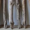 Treibholz Schwemmholz Driftwood 8  Äste  41  - 52 cm  