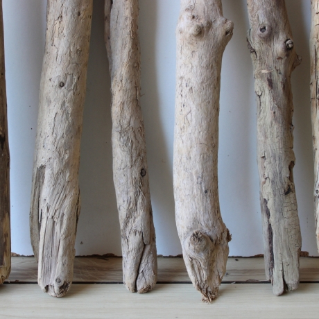 Treibholz Schwemmholz Driftwood 8  Äste  41  - 52 cm  
