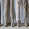 Treibholz Schwemmholz Driftwood 8  Äste  41  - 52 cm  