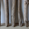 Treibholz Schwemmholz Driftwood 8  Äste  41  - 52 cm  