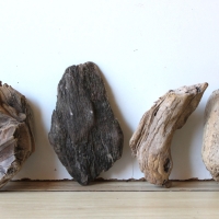 Treibholz Schwemmholz Driftwood 6 kleine Hölzer  14-17 cm 