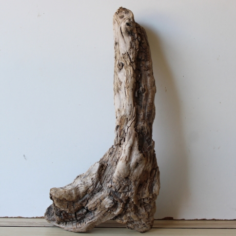 Treibholz Schwemmholz Driftwood 1 knorrirge Skulptur  48 cm 