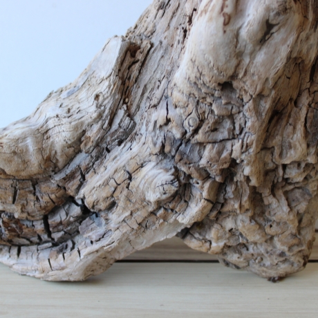 Treibholz Schwemmholz Driftwood 1 knorrirge Skulptur  48 cm 