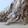 Treibholz Schwemmholz Driftwood 1 knorrirge Skulptur  48 cm 
