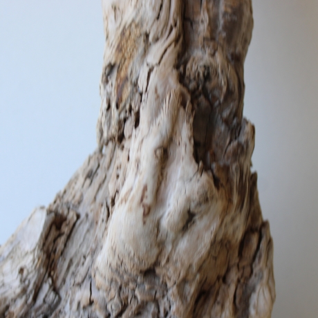 Treibholz Schwemmholz Driftwood 1 knorrirge Skulptur  48 cm 