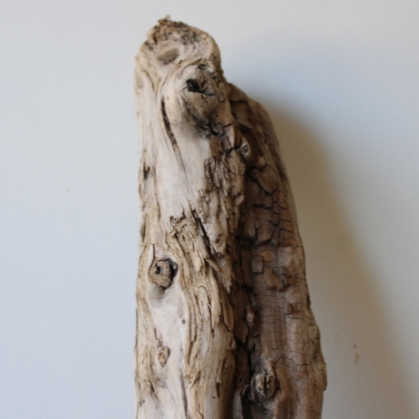 Treibholz Schwemmholz Driftwood 1 knorrirge Skulptur  48 cm 